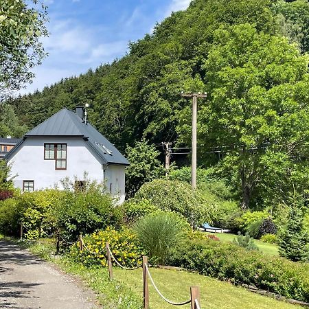 Vila Aja Svoboda nad Úpou Dış mekan fotoğraf
